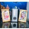 Sell Multi Media Speaker