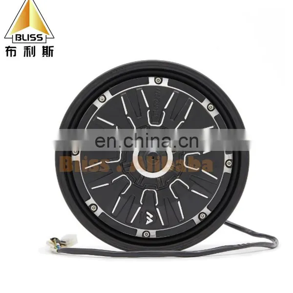 Hub Motor 250W-1000W Electric Hub Motor Wheel 10 Inch 12 Inch 17 Inch 21 Inch Electric Car Hub Motor Electric Car Accessories photo-3