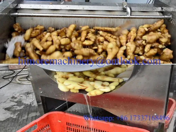 Industrial Potato/Ginger/Sweet Potato/Carrot Washer Peeler photo-4
