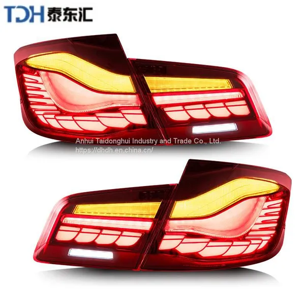 Hot Sale Side Rear Lamp Lci OLED for BMW 5 Series F10 Dragon Scale Gts Style Original LED Break Tail Light