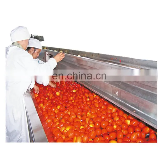 Factory Price Tomato Sauce Processing Line photo-5