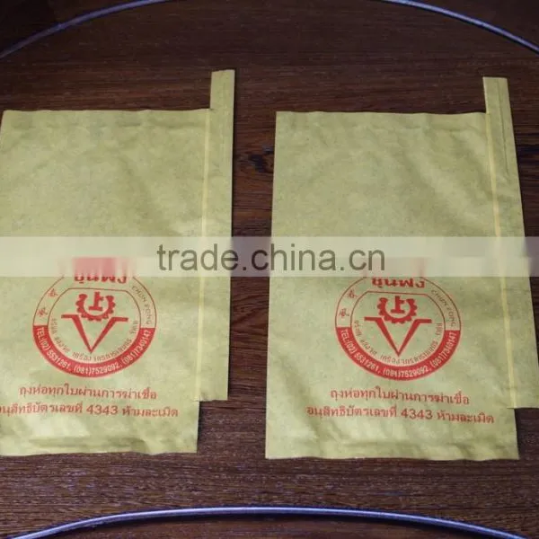 Different Sizes Fruit Protection Paper Bag photo-2