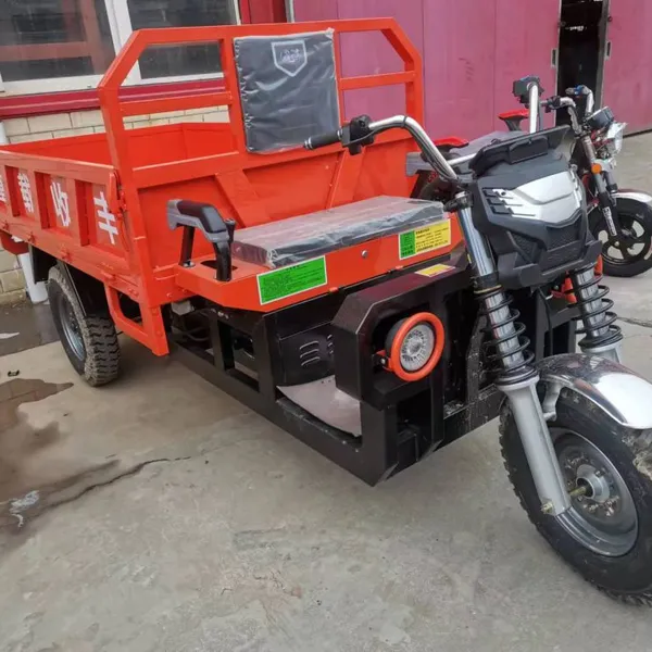 Electric Heavy Cargo Load Tricycle