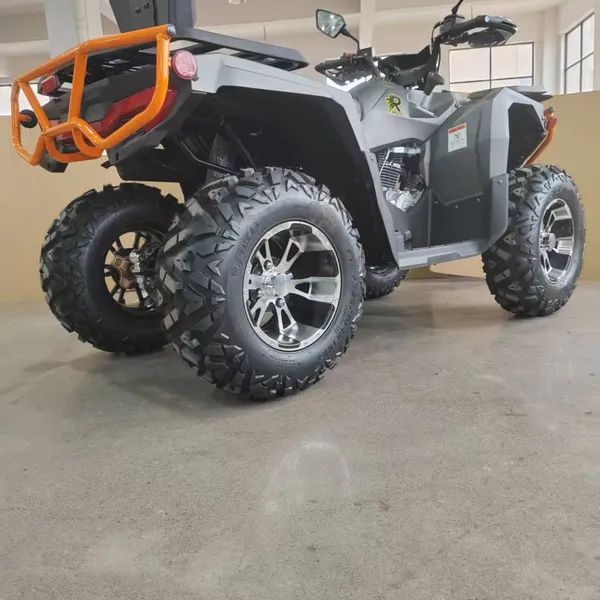 200CC 300CC New 2025 Big Power Adult Quad ATV 4wheels Motorcycle photo-4