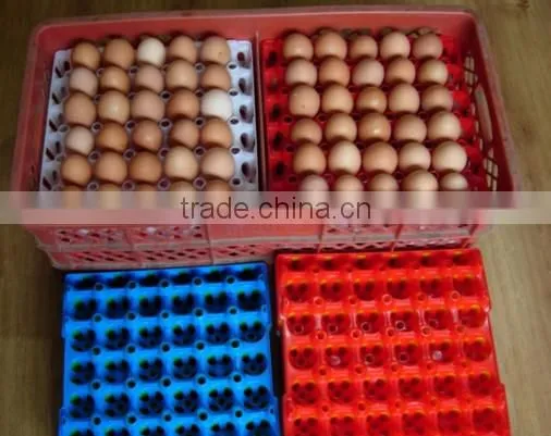 LSF208 Plastic Egg Box Making Machine photo-3