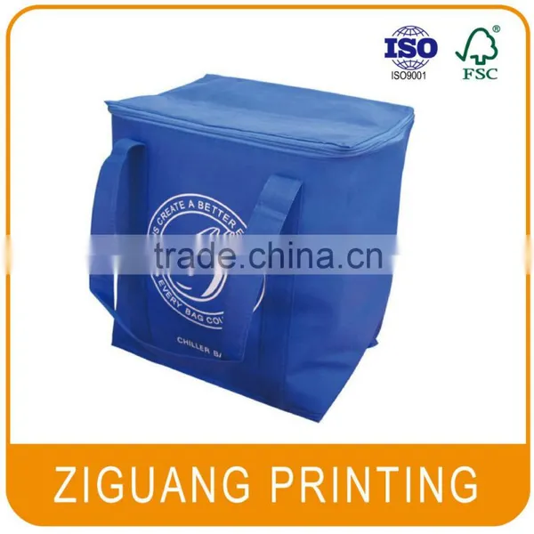 Custom Design Disposable Cooler Bag photo-5