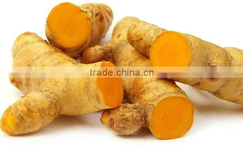 FRESH TURMETIC WITH BEST PRICE AND GOOD QUALITY photo-2