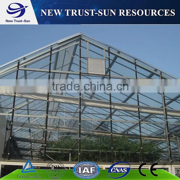 The High Quality Multi-span PC Sheet Tomato Greenhouse