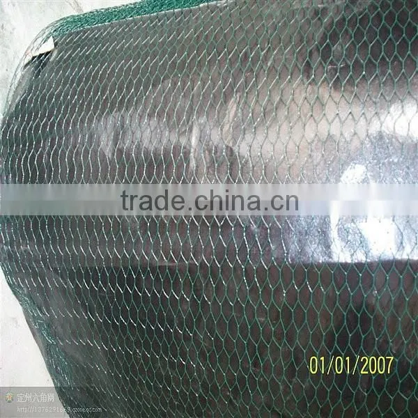 Green/ Black Pvc Coated Small Hole Chicken Wire Mesh photo-4