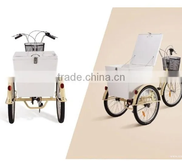Tricycle photo-2