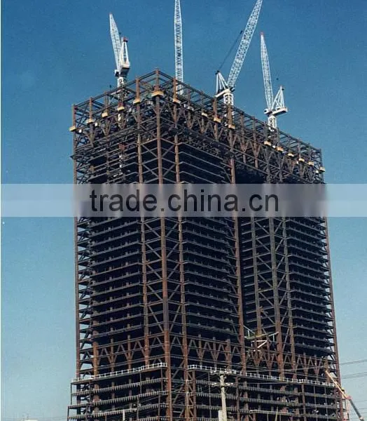 Customize Modular Prefabricted Steel Structure Building by Baorun photo-4