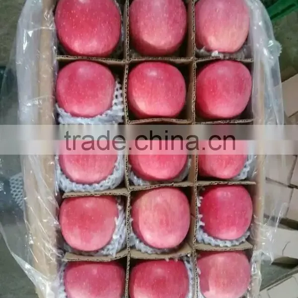 Best Price China Red Fuji Apples photo-2