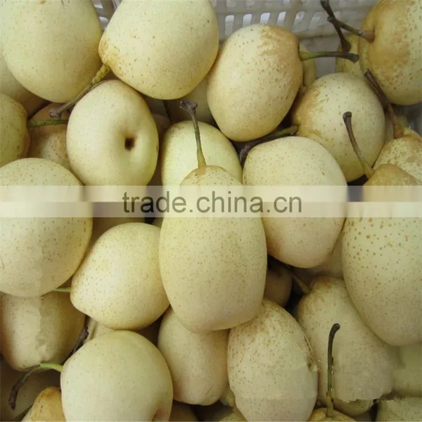 He Bei Fresh ya Pear