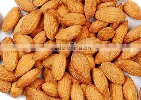 Supercritical Fluid Extraction Sweet Almond Oil photo-2