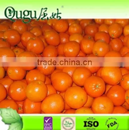 2015 Fresh Navel Orange , Sunkist Orange, Fresh Orange