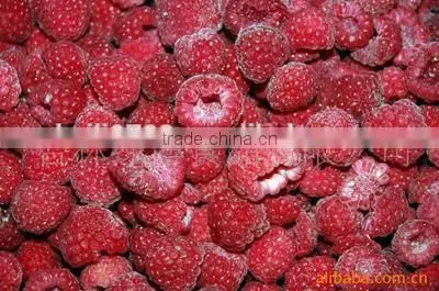 Sweet Taste High Quality China Chestnut photo-5