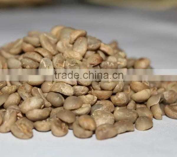 Wholesale Good Quality Yunnan Green Coffee Beans photo-2