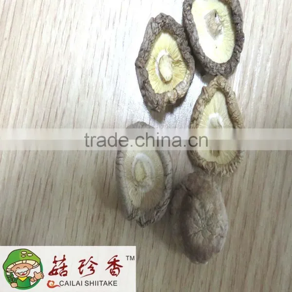 Money Mushroom, Mini Shiitake Mushroom, Cute Shiitake, Brined Shiitake photo-2