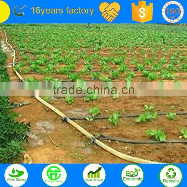 LDPE Watering Pipe for Agriculture Irrigation System photo-4
