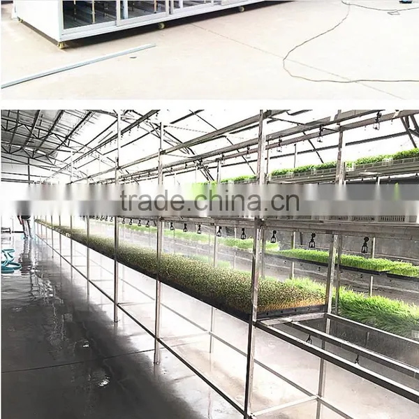 Soybean Mung Bean Sprouts Machine/bean Sprouts Making Machine/automatic Bean Sprouts Machine photo-4