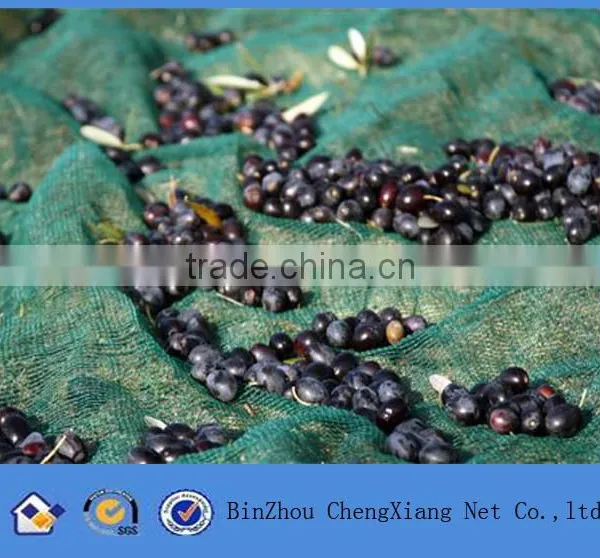 Green Net for Olive Harvesting photo-2