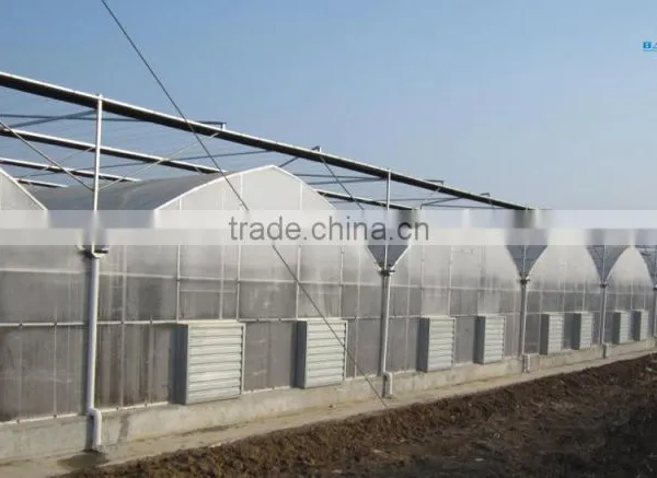 Cheap 30 x 100 Greenhouse photo-4
