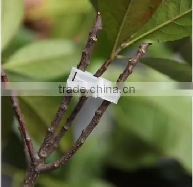 Wholesale Agricultural Plastic Tomato Grafting Support Clip