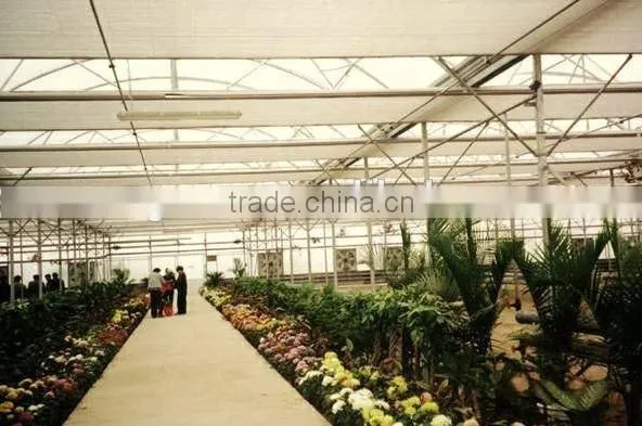 Inflation Greenhouse photo-2