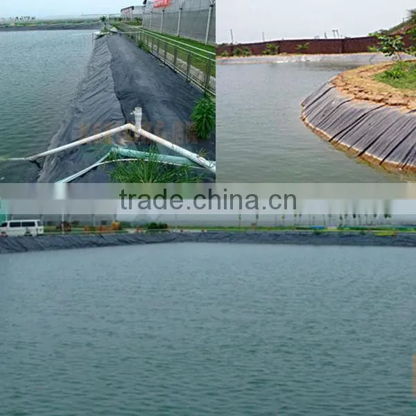 Aquaculture Hdpe Geomembrane Liner photo-4