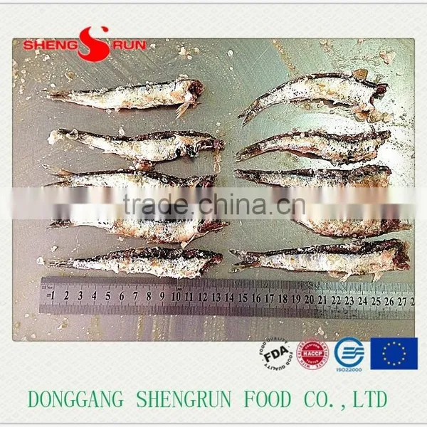 Hot Sales Frozen Salted Anchovy Fish photo-2