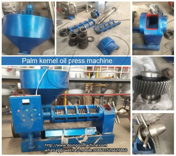 High Quality Small Scale Palm Kernel Oil Processing Plant With Kernel Shell Separator Machine photo-3