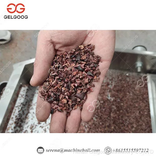 Hot Sale Cocoa Bean Husk Remover Machine / Cocoa Powder Grinder Machine Price photo-3