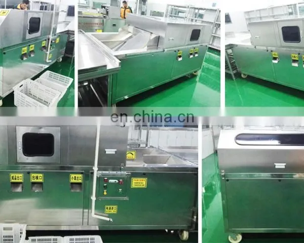 Automatic Date, Jujube,olive, Plums Slicing Slicer Cutter Cutting Machine photo-4