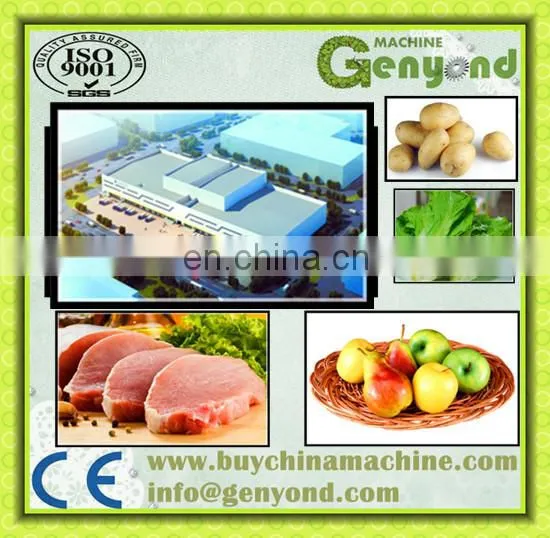 Shanghai Factory Genyond Industrial Quick Freezer Equipment Machine Freezing Room Chamber for Ice Cream photo-2