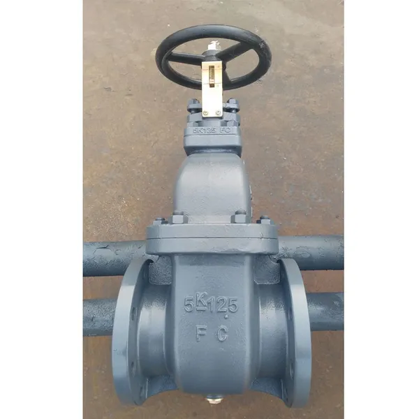 Marine Valves JIS F7363 Cast Iron Gate Valve DN80 DN150 Flange Bronze F7363 20K 10K 5K Cast Steel Non Rising Stem Gate Valve photo-6