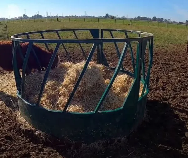 Round Type Assembled Steel Feeder Cattle Hay Saver Large Oval Horse Cow Hay Ring Feeder photo-6