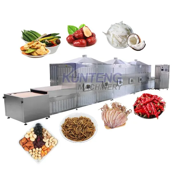 Multi functional fruit and vegetable microwave dryer fast drying and sterilization equipment