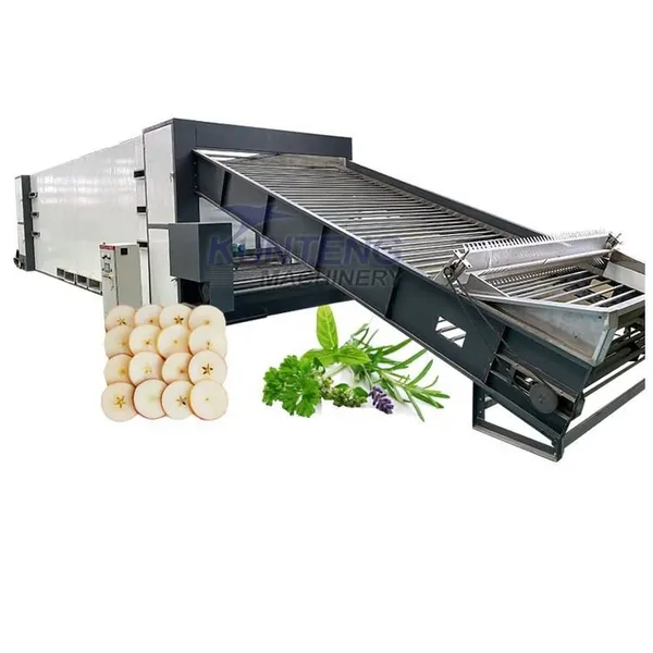 Full Automatic Continuous Vegetables Drying Machine Grass Dryer EPC