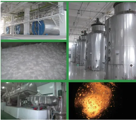 Process Design Services for Starch Production Lines and Glucose Production Lines