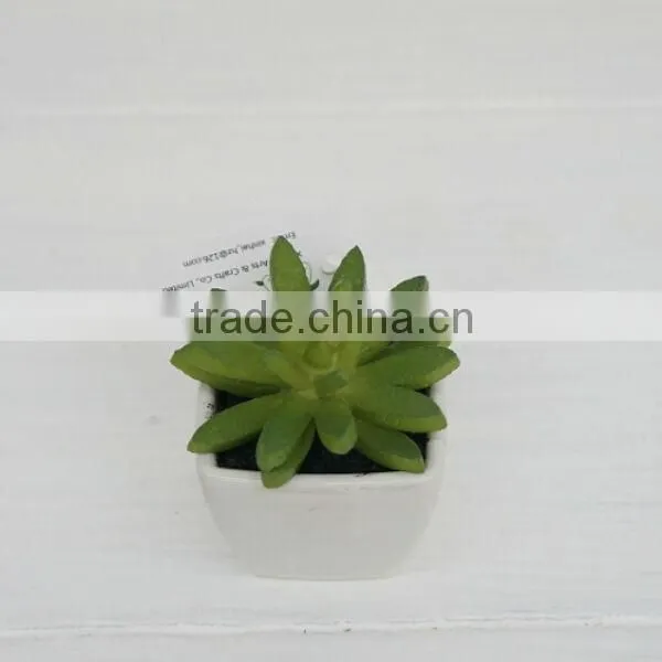 Mini Potted Artificial Plants Succulent Plants for Indoor Decoration