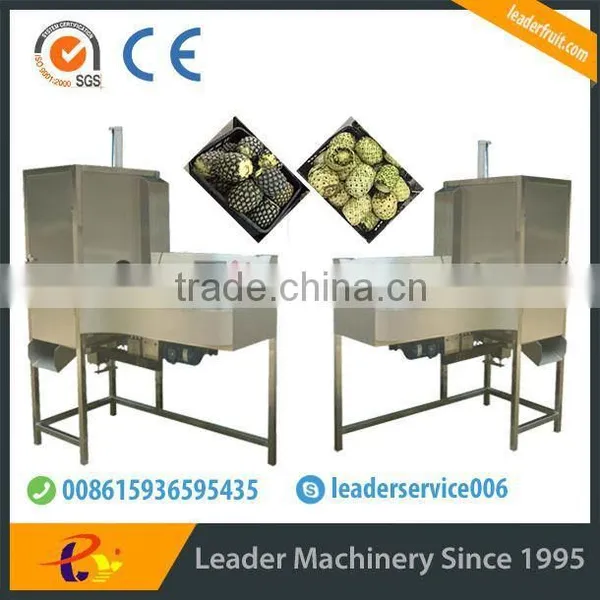 Leader Pineapple Peel and Pulp Separater With Low Power Consumption photo-4