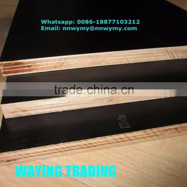 Malaysia Formwork Plywood Price photo-2