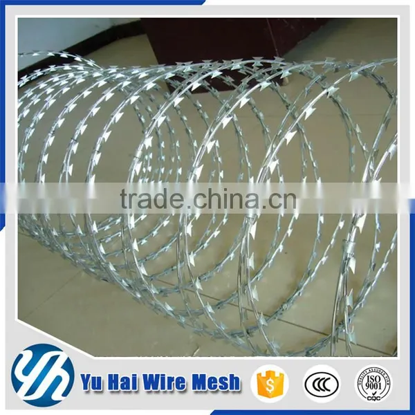 Motto New Razor Barbed Wire Mesh photo-4