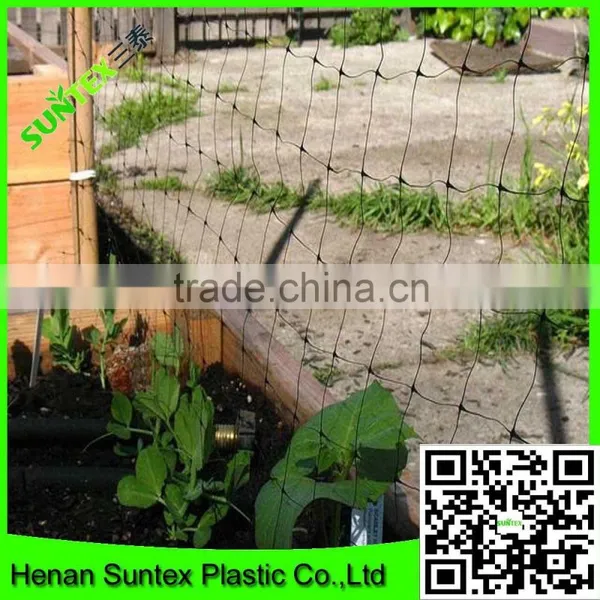 100% New Material PE Plastic Tomato Climbing Net Add UV Additives photo-3