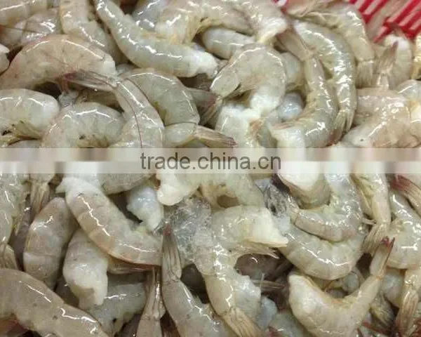 Vannamei Shrimp photo-2