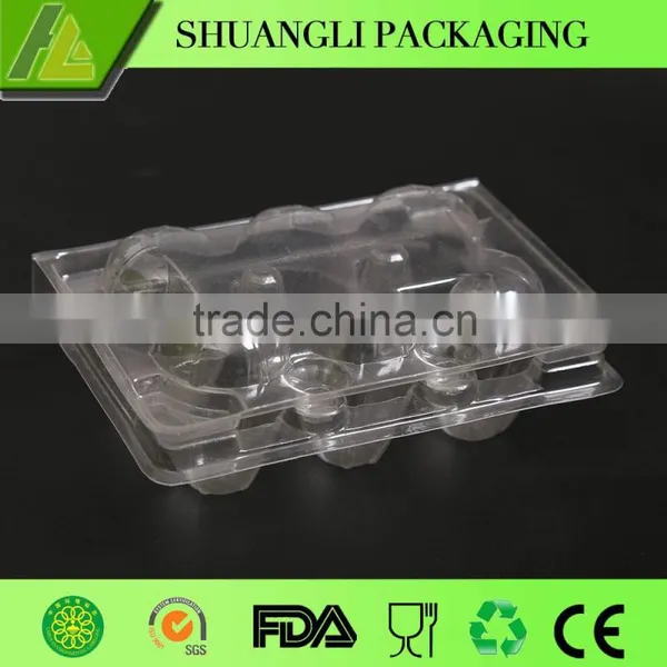 Plastic Quail Egg Tray photo-3