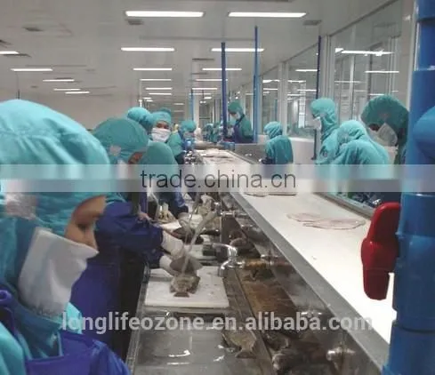 High Quality Ozone Venturi Injector With Good Price photo-6
