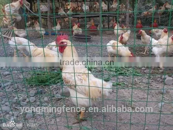 Galvanized and Powder Coating Welded Euro Fence for Sale photo-2