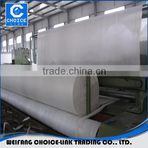 Non Woven Geotextile Bag /Filament Non Woven Geotextile for Environmental Protection Quality Choice photo-3