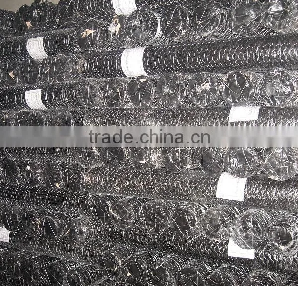 Cheap Price High Quality Chicken Coop Hexagonal Wire Mesh photo-6